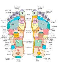 Reflexology Foot Map Artwork