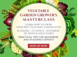 Vegetables And Herbs For Growing In