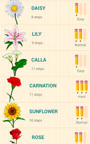 how to draw flowers apk for