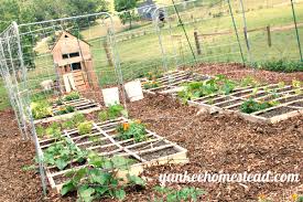 Vegetable Garden Walkways