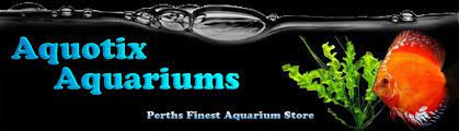 Gallery Aquotix Aquariums