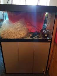 We did not find results for: Fluval Roma 125 Fish Tank With Cabinet And Accessories For Sale In Drimnagh Dublin From Darcnorb