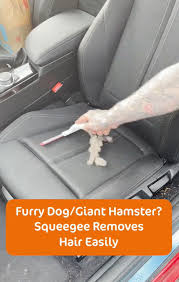 The Best Tool To Clean Pet Hair From