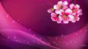 wallpapers pink background 65 pictures