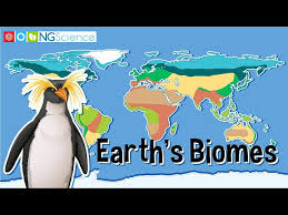 earth s biomes you