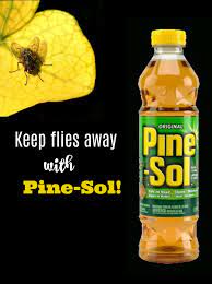 homemade fly repellent with pine sol