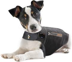 Thundershirt For Dogs And Cats