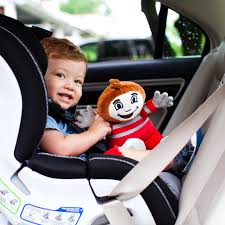 Buckle Up With Brutus Child Car