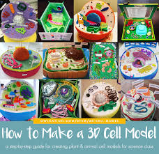 Animal cell coloring answer key questions. How To Create 3d Plant Cell And Animal Cell Models For Science Class Owlcation