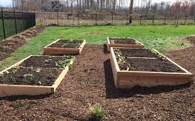 Building Raised Garden Beds Spotts