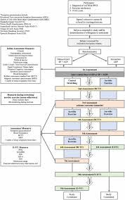 post concussive symptoms