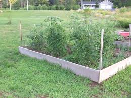raised bed vegetable gardens how to build