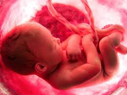 why umbilical cord blood banking is