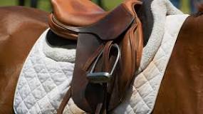 how-much-does-a-saddle-pad-cost