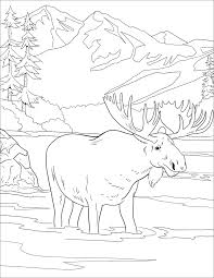Nettle coloring pages » lily of the valley coloring pages. Printable Denali National Park Coloring Page For Both Aldults And Kids