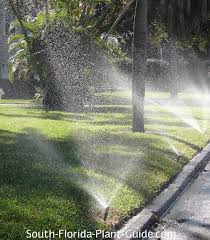 Learn how to plan a garden irrigation system with this guide from bunnings. Watering