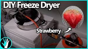 how to build a freeze dryer you