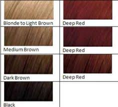 28 Albums Of Red Wine Hair Color Chart Explore Thousands