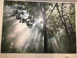 Huge Canvas Wall Art Ikea For In