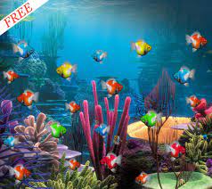 free live aquarium wallpaper