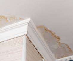ceiling leak detection domestic