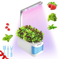smart mini indoor herb garden kit