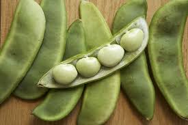 How To Grow And Care For Lima Bean Plants