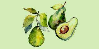 Как нарисовать авокадо: 26 классных вариантов - Лайфхакер