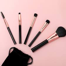 basic makeup brush set 5 packs