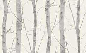 Birch Tree Wallpaper Erismann 6305 10
