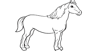 Mewarnai kuda poni rarity download gambar mewarnai gratis. 50 Gambar Mewarnai Hewan Kuda Gratis Terbaik Gambar Hewan