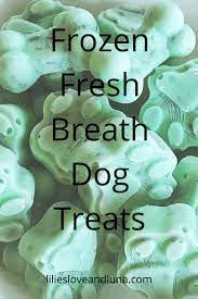 homemade frozen fresh breath dog treats