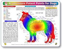 Kemah Acupressure Potent Points For Dogs A Double Sided Uv Protected Chart A Learning And Teaching Chart For Veterinary Science Professionals
