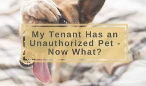 Landlords Do You Need A Pet Policy Here Are Some Great Examples On  gambar png