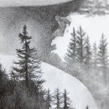 surreal pencil drawing with forest
