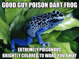 Good Guy Poison Dart Frog memes | quickmeme via Relatably.com