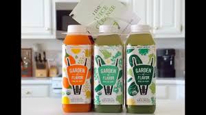 garden of flavor 1 day juice cleanse