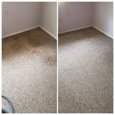 professional carpet cleaning rug
