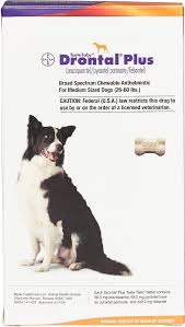 Drontal Plus Chewable Tablets For Dogs 26 60 Lbs 1 Tablet