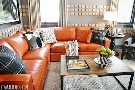 Orange Leather Couches Living Room