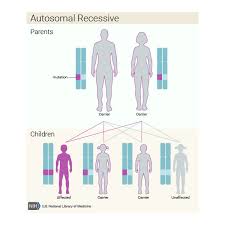 genetic condition can be inherited