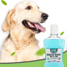 whole pet mouthwash best dog