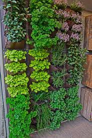 A Vertical Herb Garden In A Small Urban