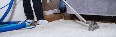 area rug cleaning surrey dazzle