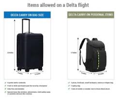 delta airlines bage international