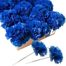 You can say a lot with carnations, and several colors are appropriate for funeral arrangements. Royal Imports Artificial Carnations Silk Faux Flowers For Funeral Arrangements Wedding Bouquets Cemetery Wreaths Diy Crafts 100 Single 5 Stems Royal Blue Buy Online In Bahamas At Bahamas Desertcart Com Productid 67035700