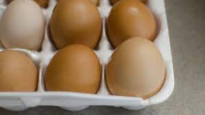 comment savoir si un œuf est bon nos