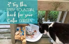 cat paradise with this easy fountain hack