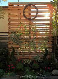 A Diy Espalier Privacy Screen For The