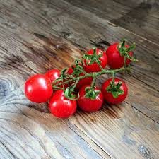 gardeners delight cherry tomato meraki